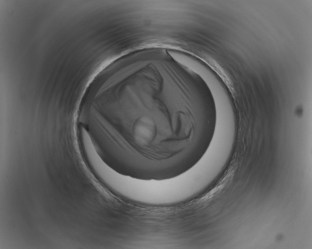 X0000116870893201001191720