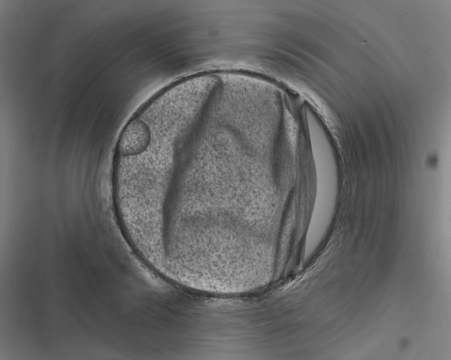 X0000116870894201001191720