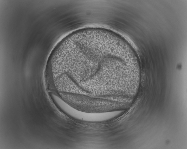 X0000116870895201001191720