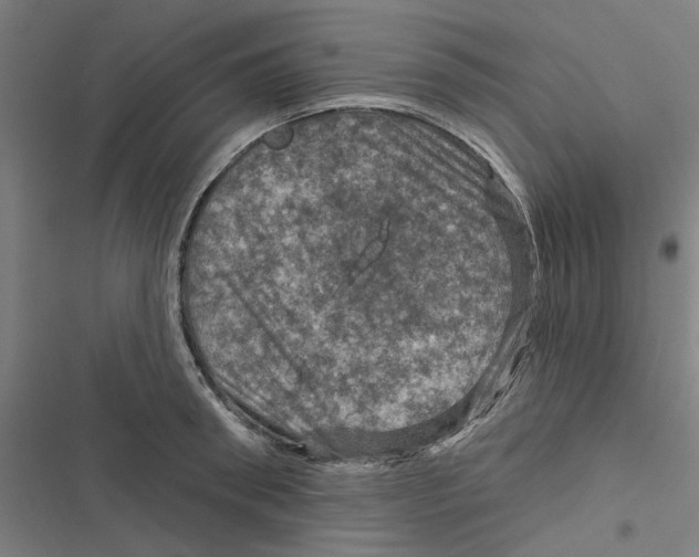 X0000116870898201001191720