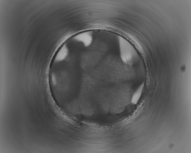 X0000116870899201001191720