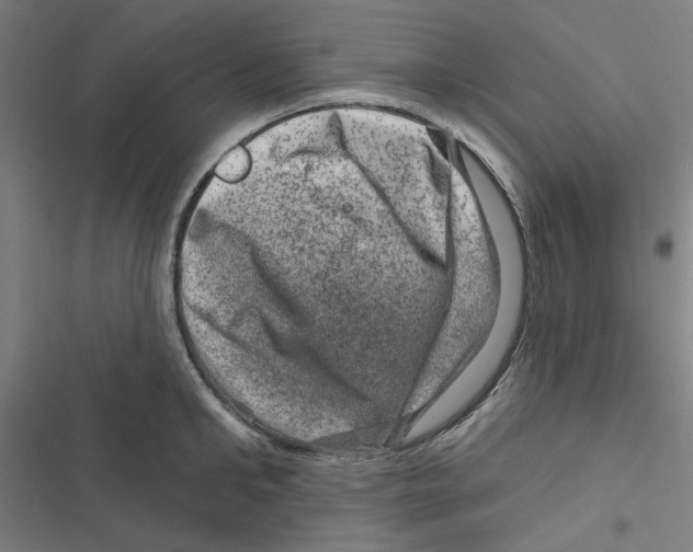 X0000116870902201001191720