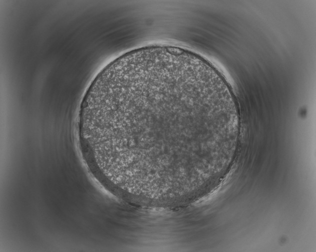 X0000116870903201001191720
