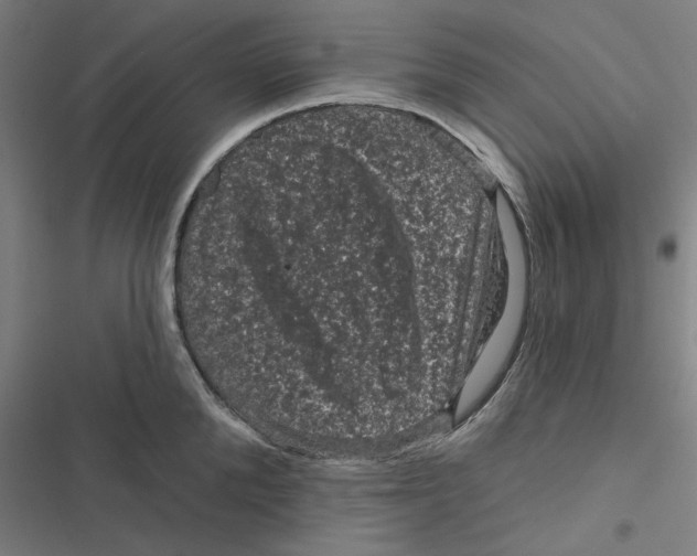 X0000116870904201001191720