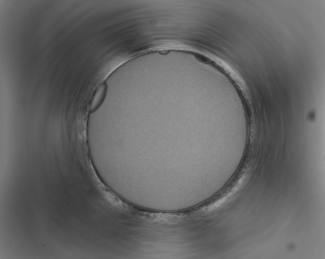 X0000116870905201001191720
