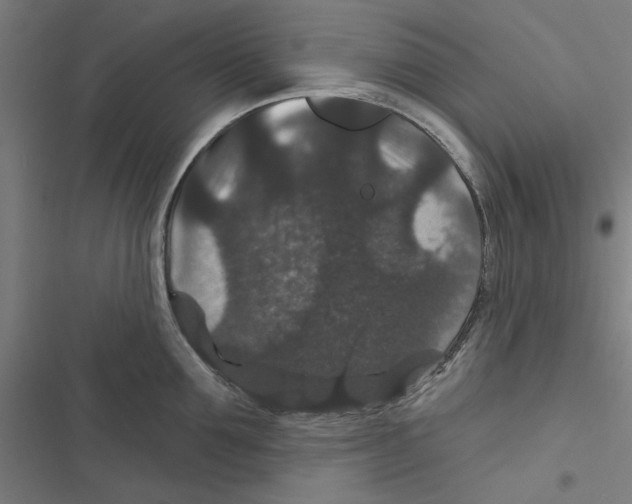 X0000116870907201001191720
