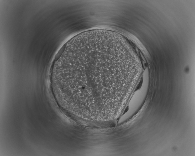 X0000116870908201001191720