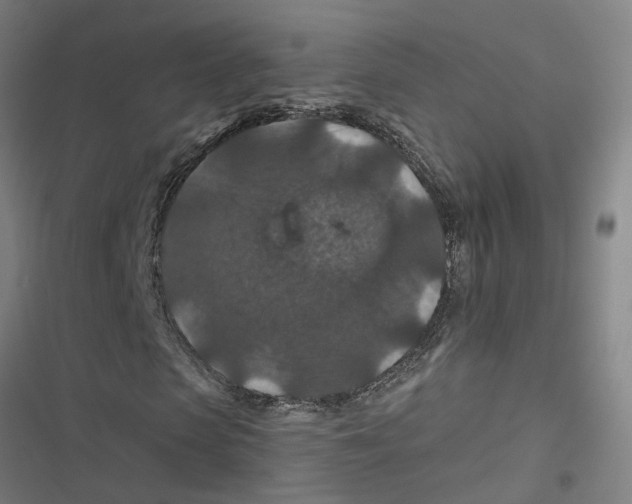 X0000116870913201001191719