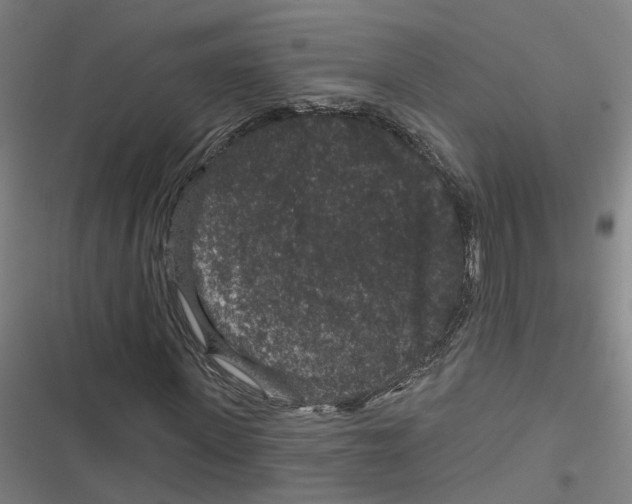 X0000116870915201001191719