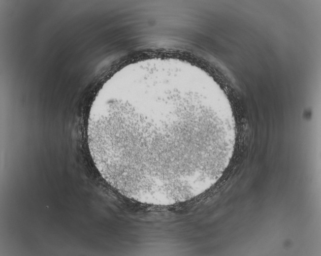 X0000116870918201001191719