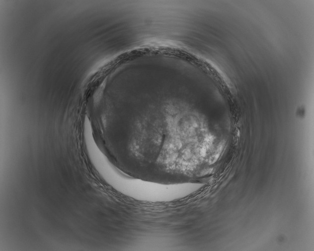 X0000116870919201001191719