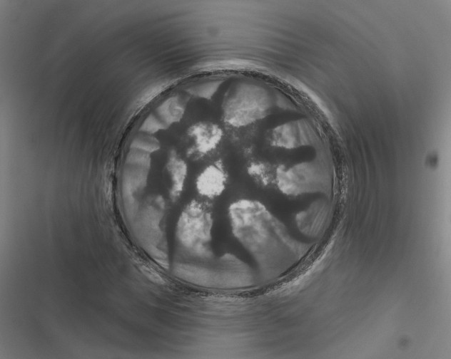 X0000116870921201001191719