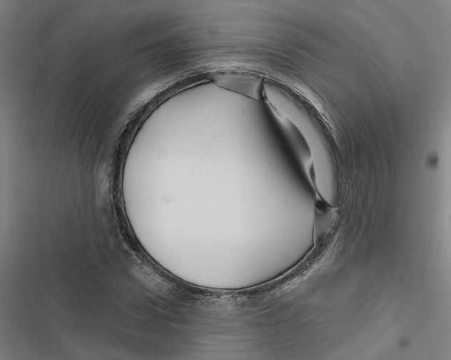X0000116870922201001191719