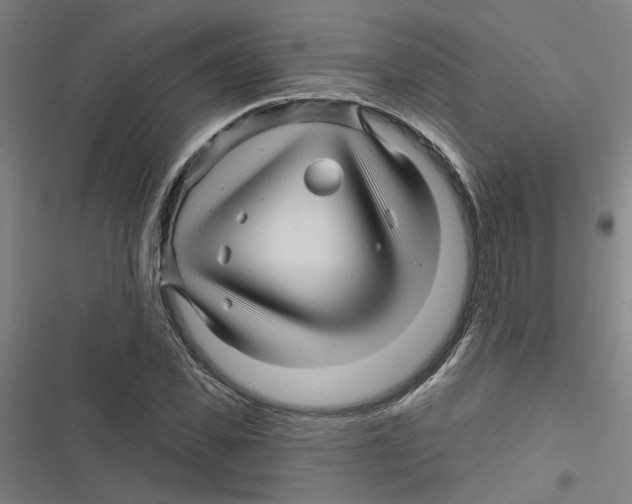 X0000116870925201001191719