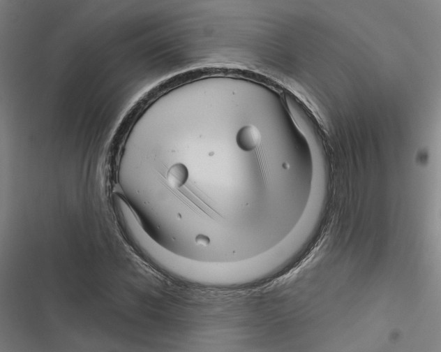 X0000116870926201001191719