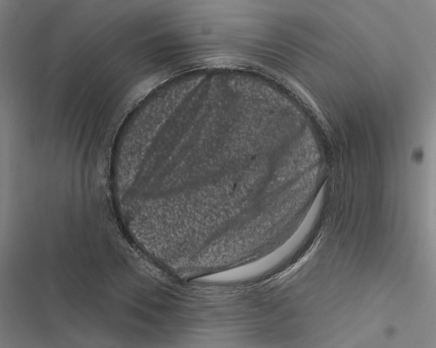 X0000116870930201001191719