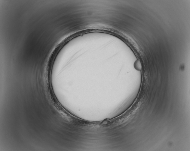 X0000116870931201001191719