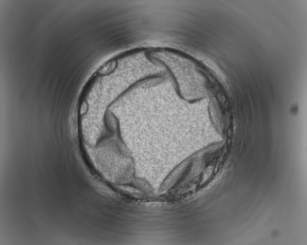X0000116870934201001191719