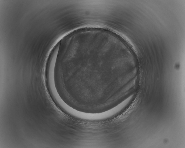 X0000116870935201001191719