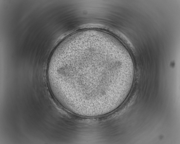 X0000116870937201001191719