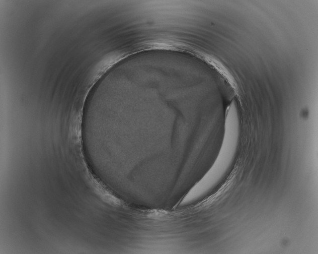 X0000116870938201001191720