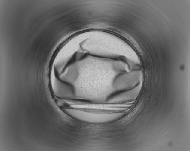 X0000116870939201001191720