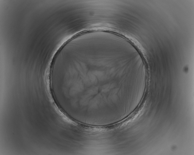 X0000116870941201001191720