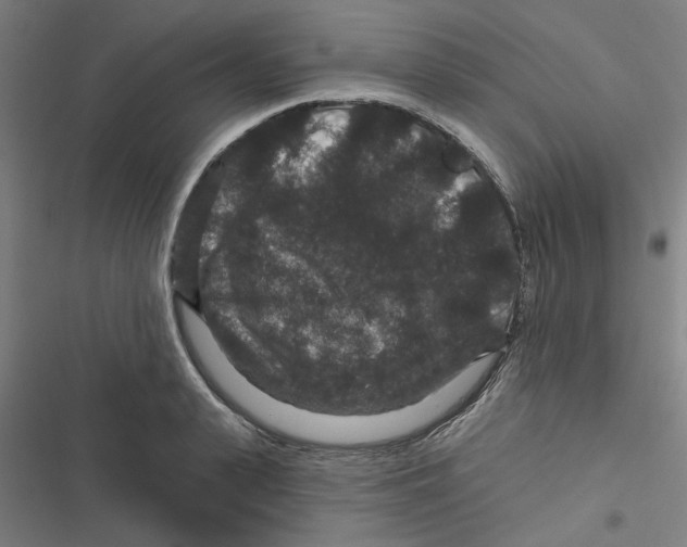 X0000116870943201001191720