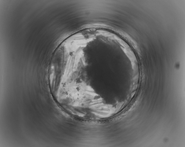 X0000116870945201001191720