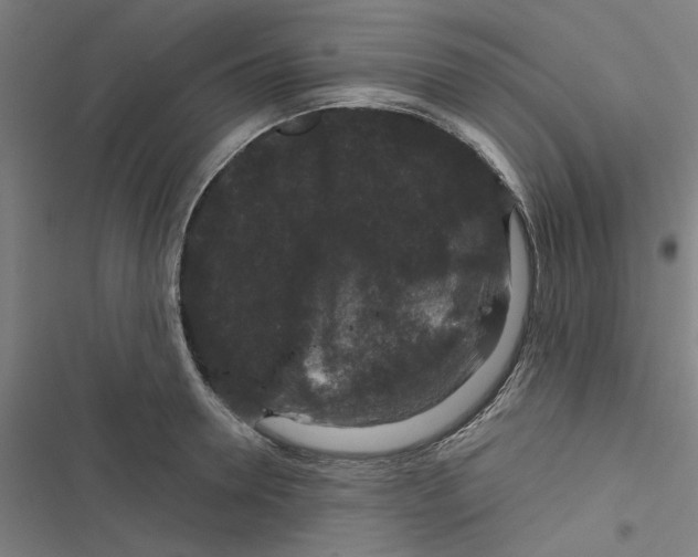 X0000116870946201001191720
