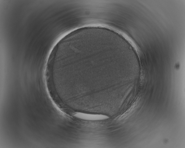 X0000116870951201001191720
