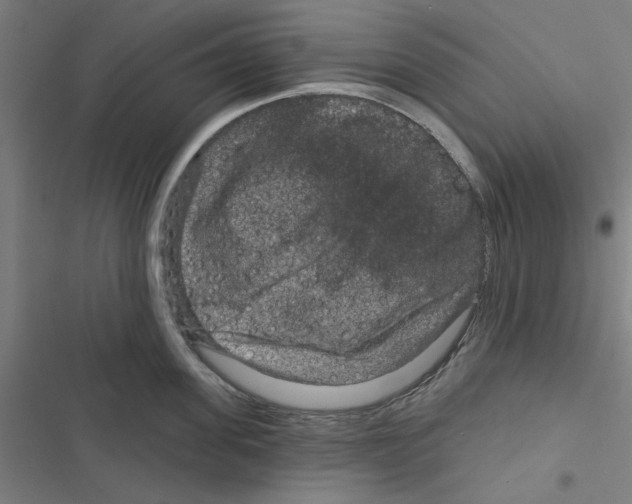 X0000116870955201001191720