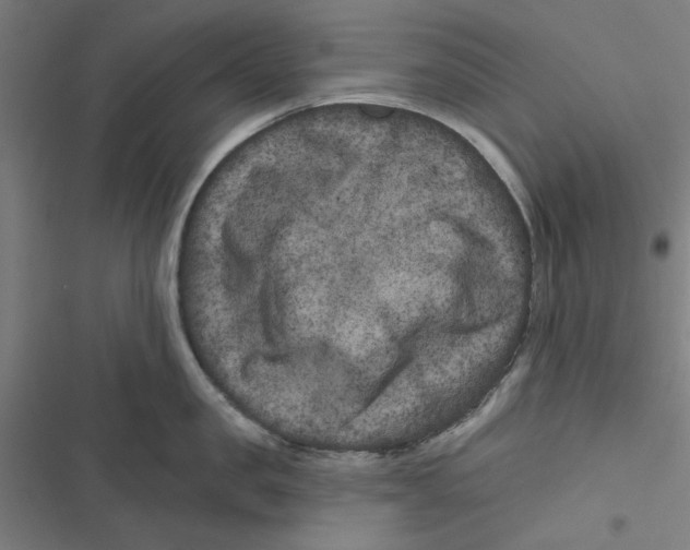 X0000116870957201001191720