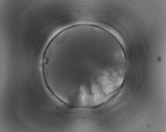 X0000116870958201001191720