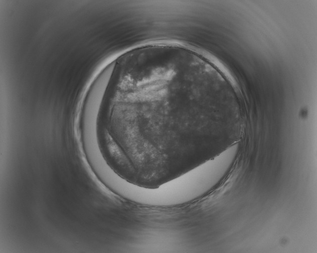 X0000116870959201001191720