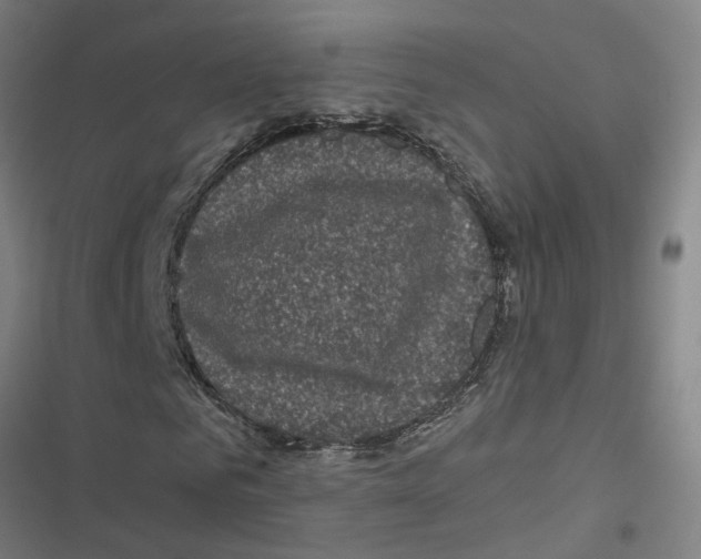 X0000116870961201001191719