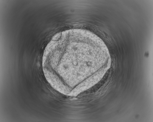 X0000116870962201001191719