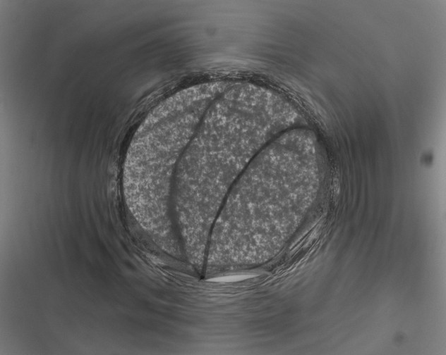 X0000116870964201001191719