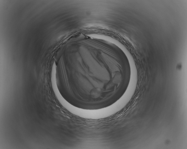 X0000116870965201001191719