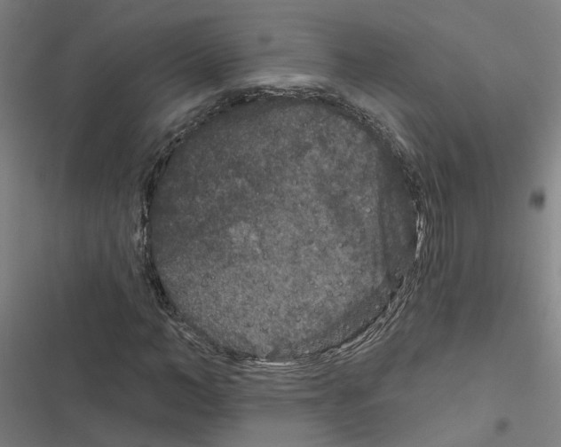 X0000116870966201001191719