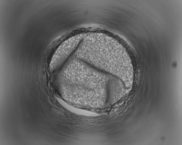 X0000116870967201001191719