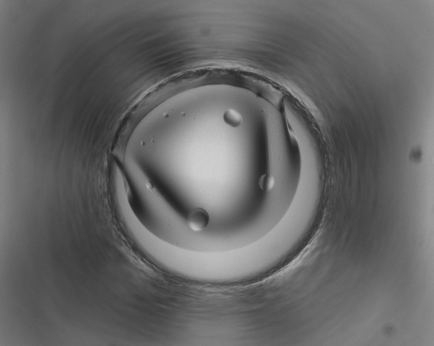X0000116870969201001191719
