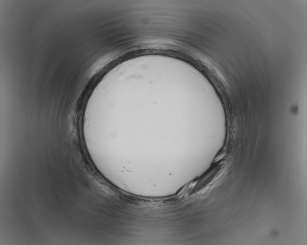 X0000116870970201001191719
