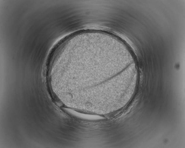 X0000116870971201001191719