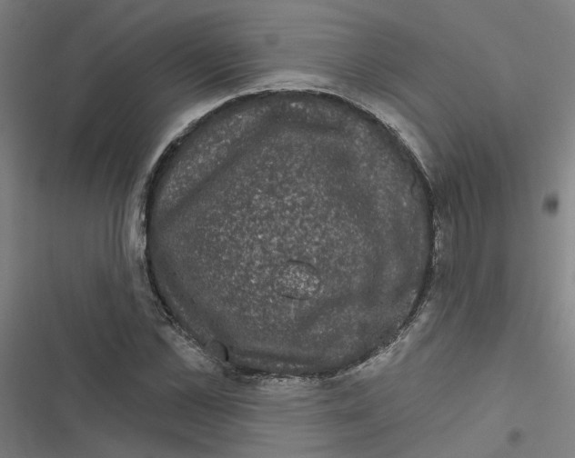 X0000116870973201001191719