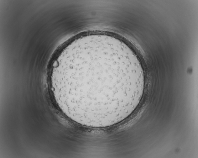 X0000116870974201001191719