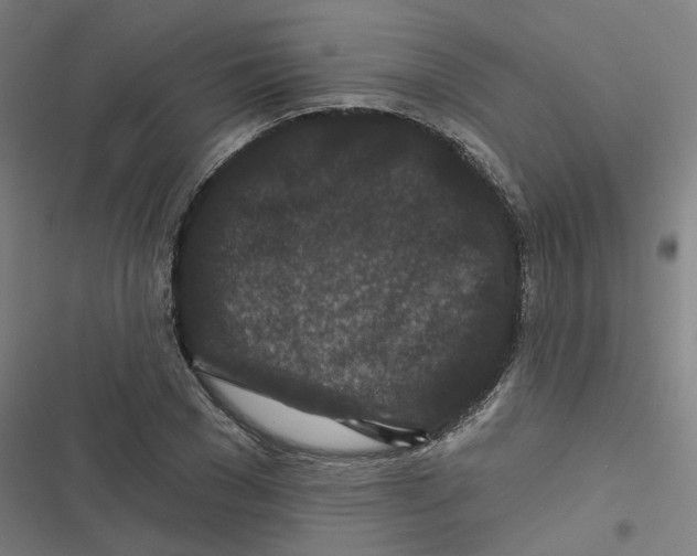 X0000116870977201001191719