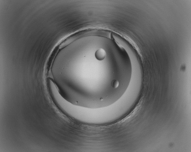 X0000116870981201001191719
