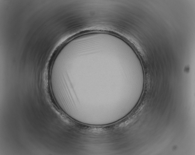 X0000116870982201001191719