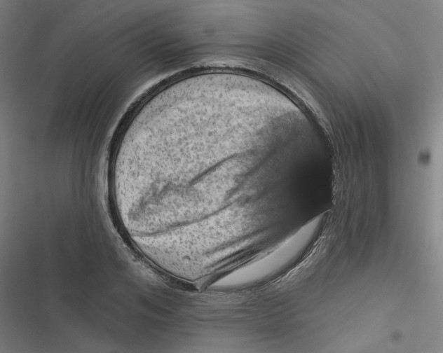 X0000116870984201001191719